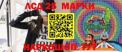 гидра Бердск