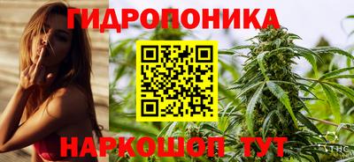 гидра Бердск