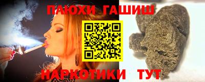 гидра Бердск