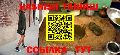 гидра Бердск