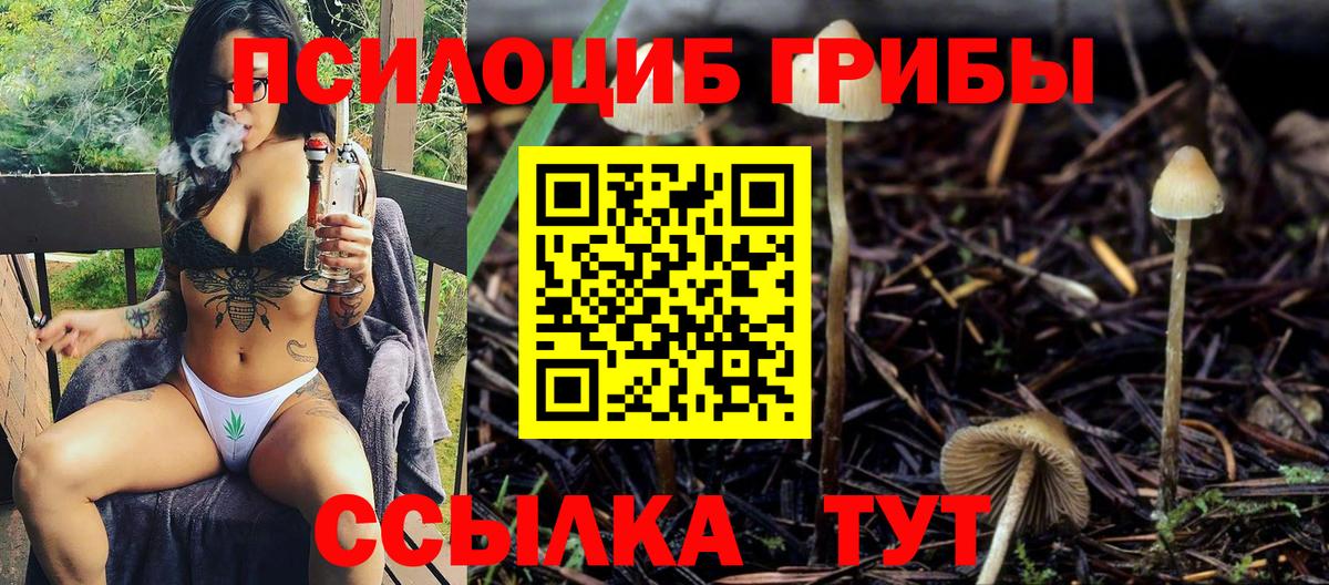 Галлюциногенные грибы GOLDEN TEACHER Верхняя Пышма