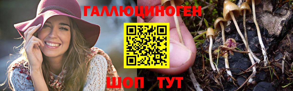 Псилоцибиновые грибы Psilocybe  Галлюциногенные грибы Magic Shrooms  Верхняя Пышма  цена   Вход с VPN 